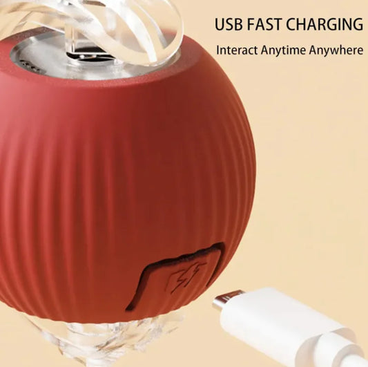 Interactive Cat Ball Toy with Rope – Durable Play Ball for Active Cats