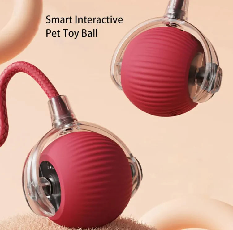 Interactive Cat Ball Toy with Rope – Durable Play Ball for Active Cats