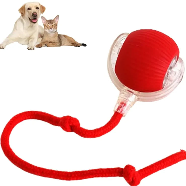 Interactive Cat Ball Toy with Rope – Durable Play Ball for Active Cats