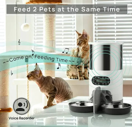 Automatic Dual Meal Pet Feeder – Smart Feeding System for Dogs & Cats