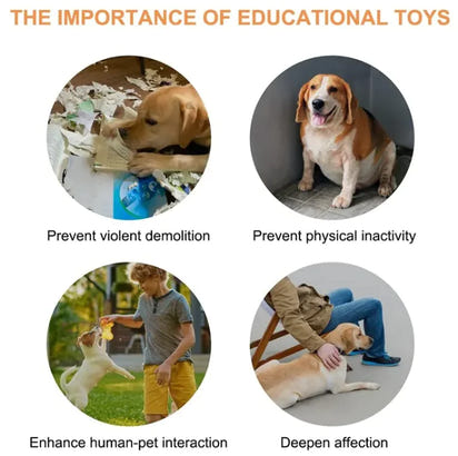 PawComm™ Recordable Pet Talking Buttons