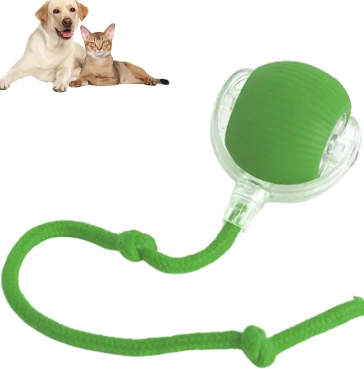 Interactive Cat Ball Toy with Rope – Durable Play Ball for Active Cats